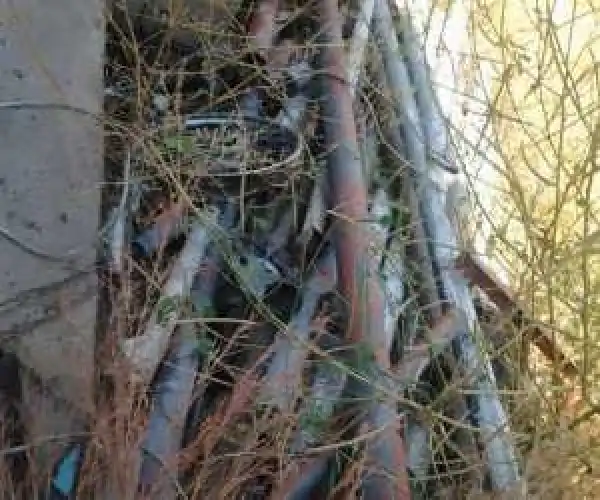 Boko Haram Kingpin, John Trankil, Arrested In Maiduguri